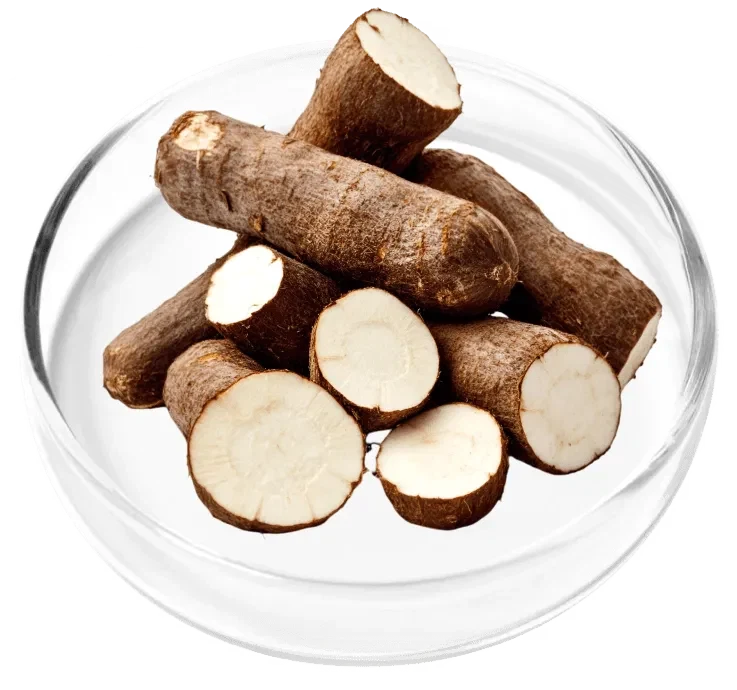 Wild Yam ingredient photograph