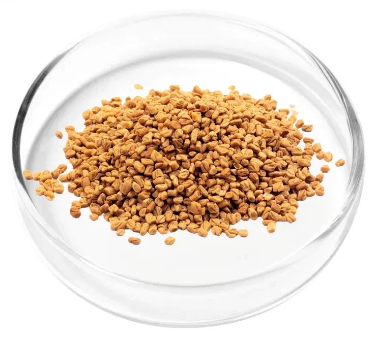 Dodder Seed ingredient photograph