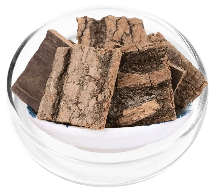Eucommia Ulmoides ingredient photograph