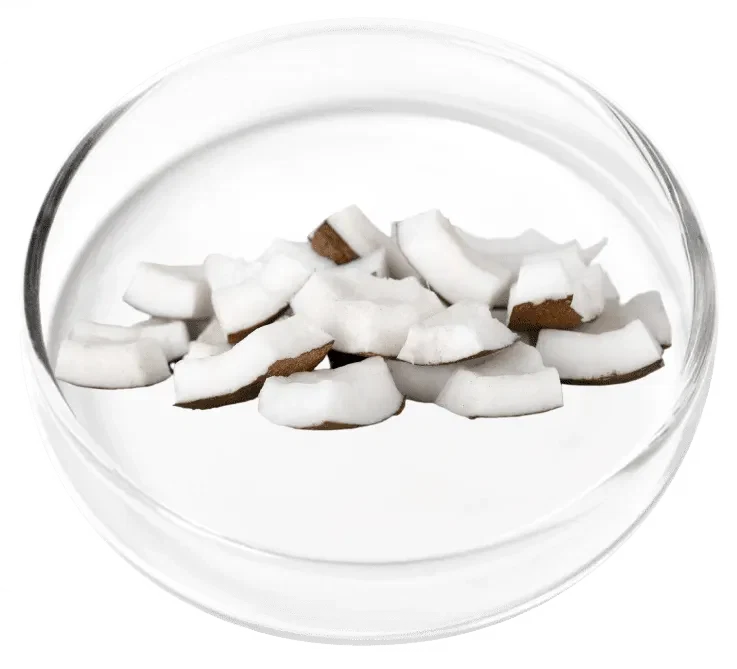Poria Cocos ingredient photograph