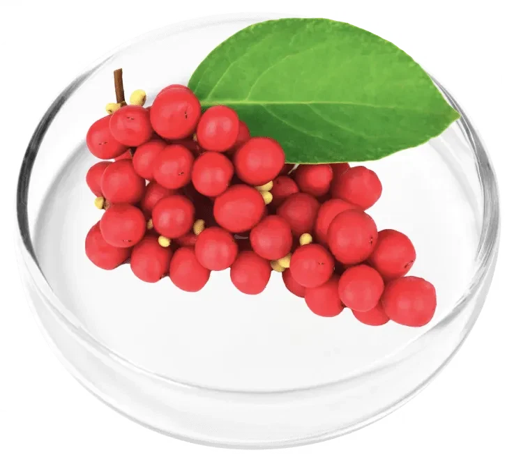 Schisandra ingredient photograph
